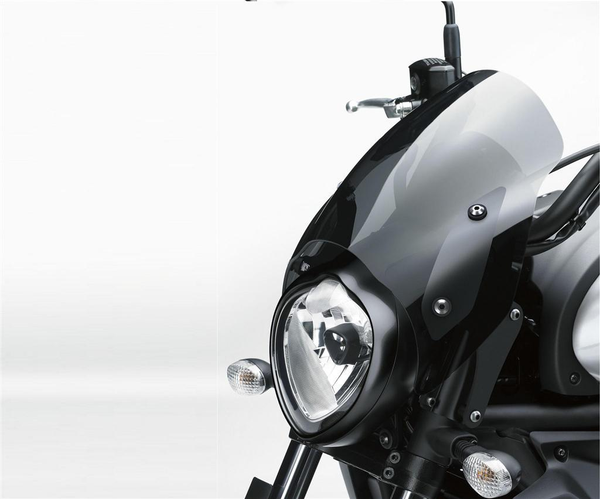Cafe style dymove plexi (Vulcan S)