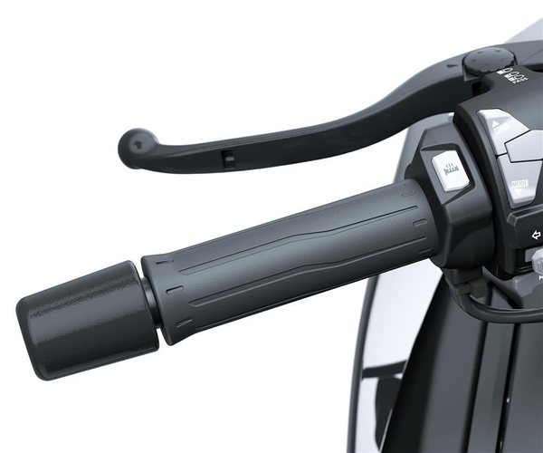 Vyhrievané gripy - kit (Z H2/SE)