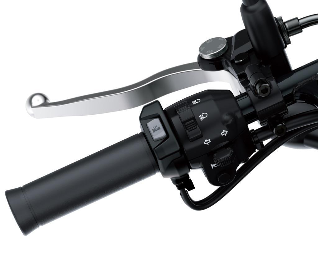 Sada vyhrievaných rukovätí (W800)