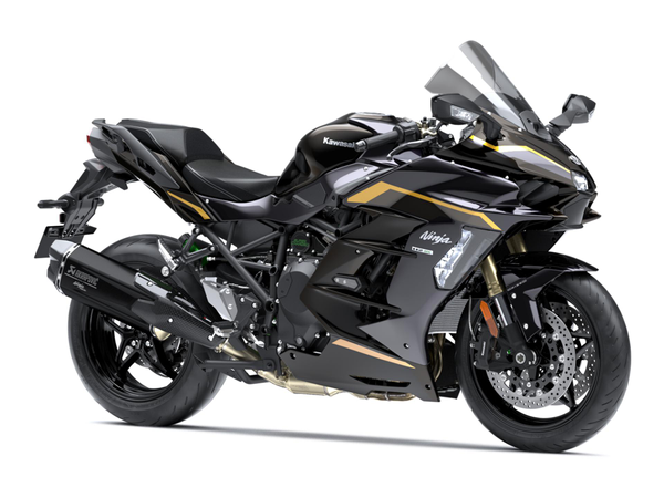 Ninja H2 SX Performance