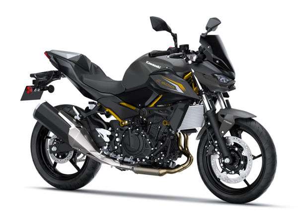 Z500 Sport