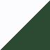 Crystal White / Timberline Green